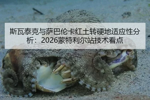 斯瓦泰克与萨巴伦卡红土转硬地适应性分析：2026蒙特利尔站技术看点